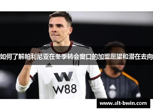 如何了解帕利尼亚在冬季转会窗口的加盟愿望和潜在去向